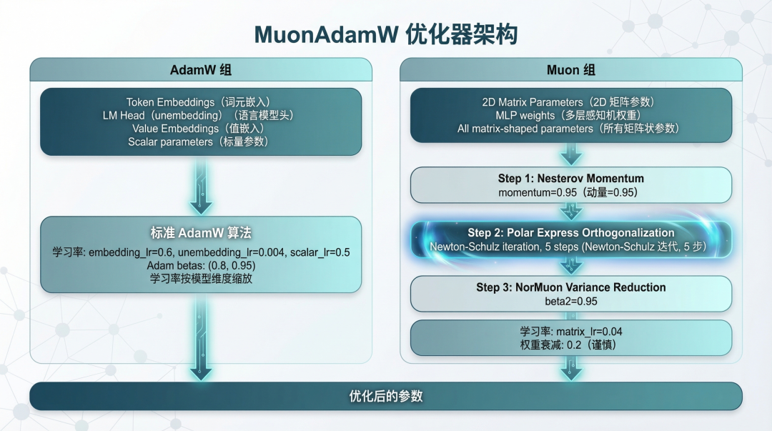 配图3：MuonAdamW 优化器架构 - 展示 AdamW 组和 Muon 组的不同处理流程